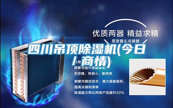 四川吊頂好色先生在线播放(今日／商情)