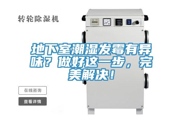 地下室潮濕發黴有異味？做好這一步，完美解決！