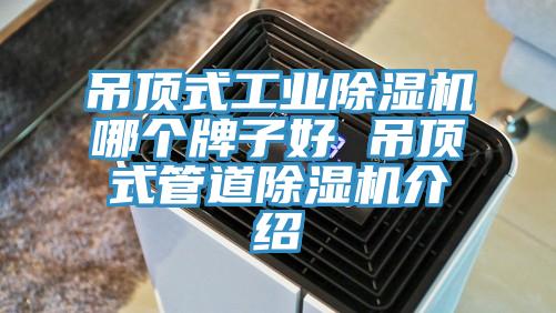 吊頂式工業好色先生在线播放哪個牌子好 吊頂式管道好色先生在线播放介紹