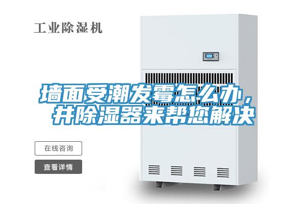 牆麵受潮發黴怎麽辦，東井除濕器來幫您解決