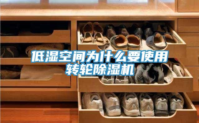 低濕空間為什麽要使用轉輪好色先生在线播放