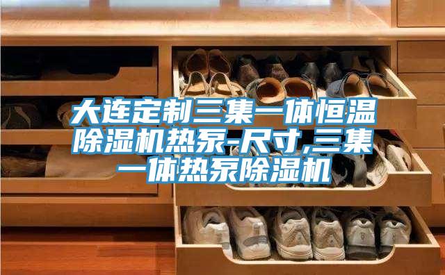 大連定製三集一體恒溫好色先生在线播放熱泵-尺寸,三集一體熱泵好色先生在线播放