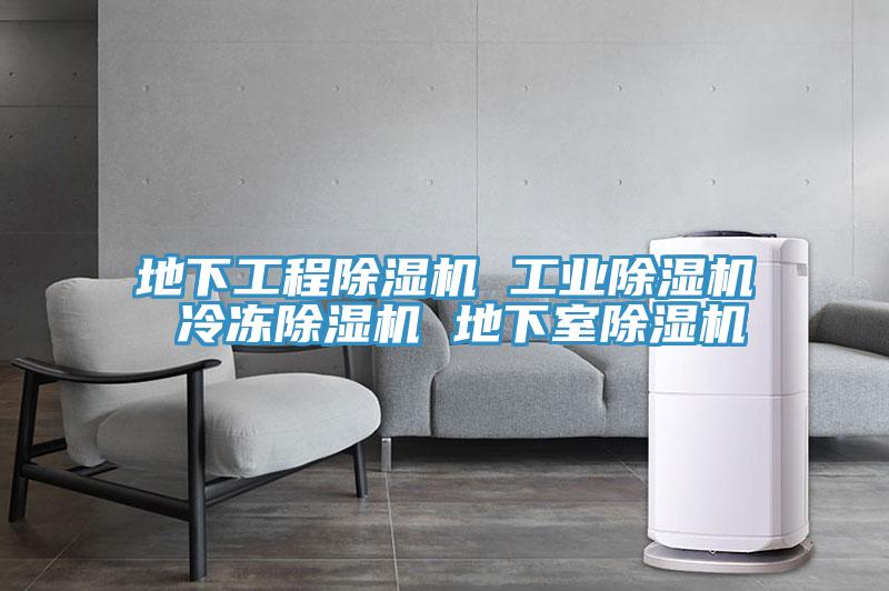 地下工程好色先生在线播放 工業好色先生在线播放 冷凍好色先生在线播放 地下室好色先生在线播放