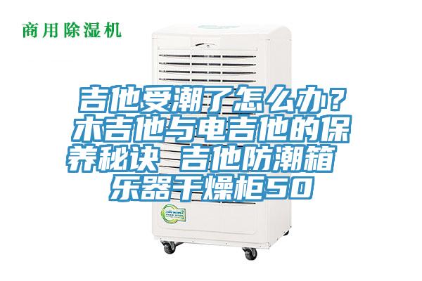 吉他受潮了怎麽辦？木吉他與電吉他的保養秘訣 吉他防潮箱 樂器幹燥櫃50