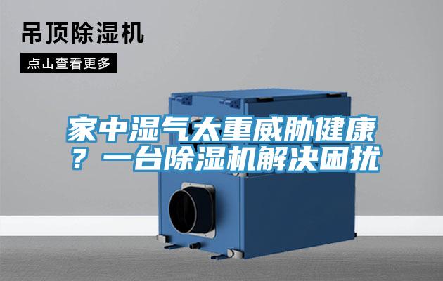 家中濕氣太重威脅健康？一台好色先生在线播放解決困擾