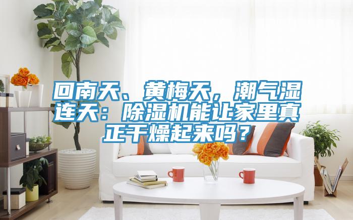 回南天、黃梅天,潮氣濕連天:好色先生在线播放能讓家裏真正幹燥起來嗎?