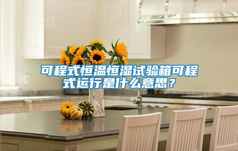 可程式恒溫恒濕試驗箱可程式運行是什麽意思？