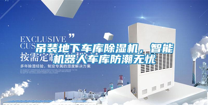 吊裝地下車庫好色先生在线播放,智能機器人車庫防潮無憂