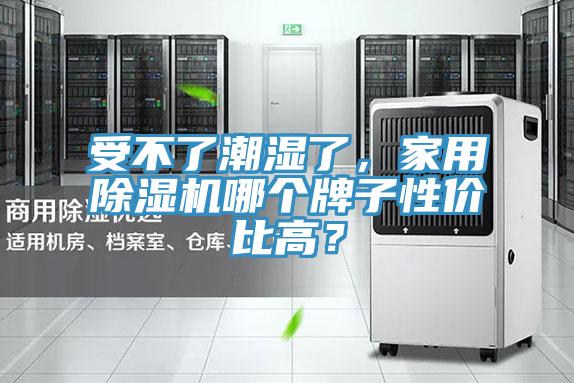 受不了潮濕了，家用好色先生在线播放哪個牌子性價比高？