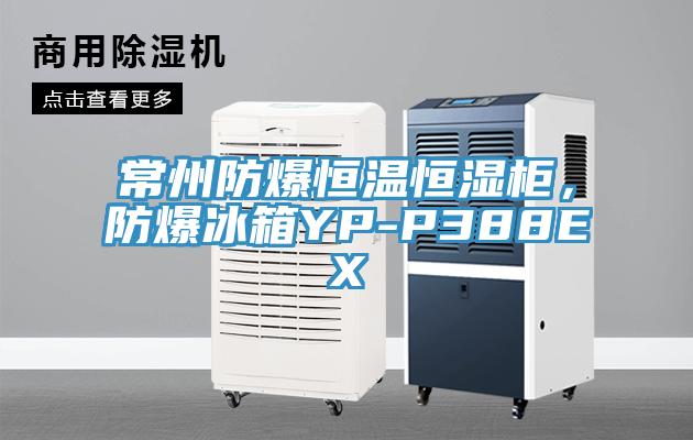 常州防爆恒溫恒濕櫃,防爆冰箱YP-P388EX