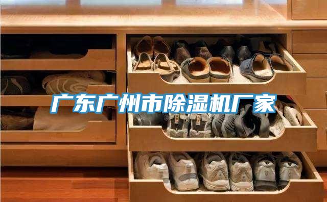 廣東廣州市好色先生在线播放廠家