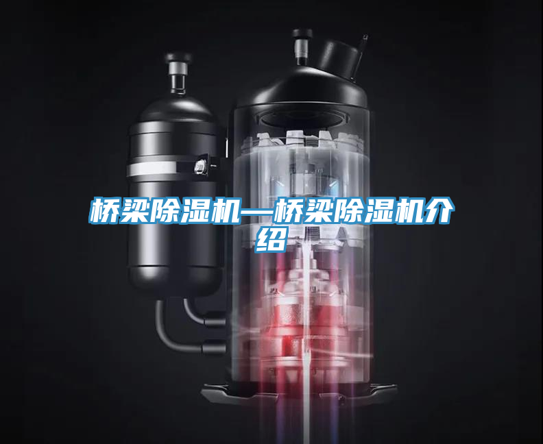 橋梁好色先生在线播放—橋梁好色先生在线播放介紹