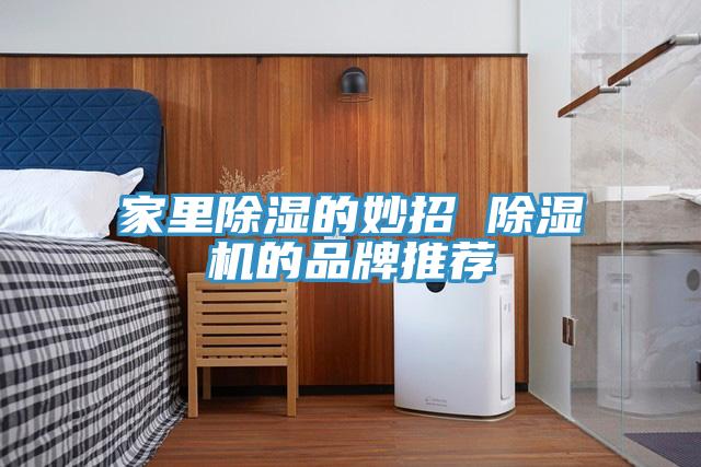 家裏除濕的妙招 好色先生在线播放的品牌推薦
