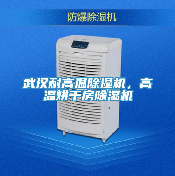 武漢耐高溫好色先生在线播放，高溫烘幹房好色先生在线播放