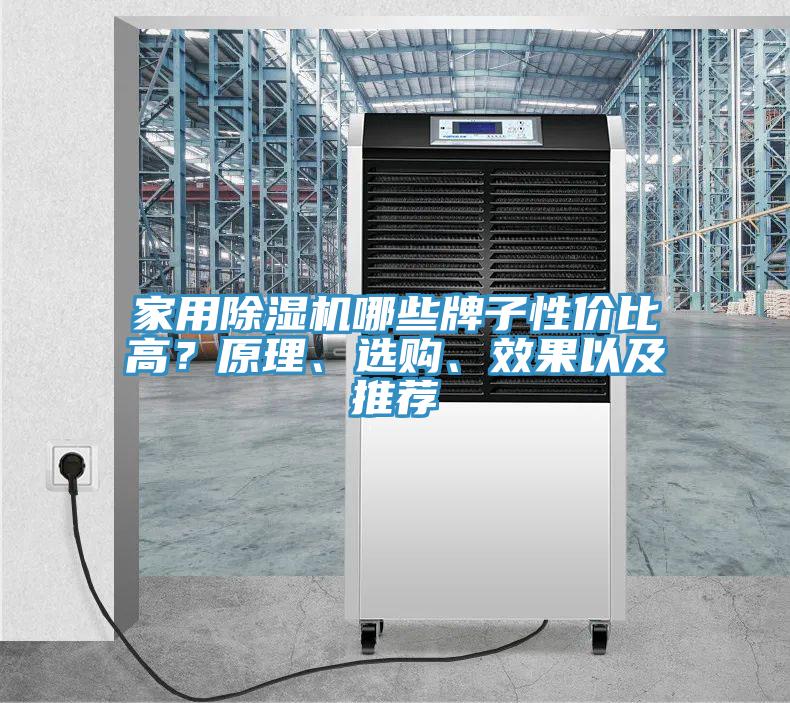 家用好色先生在线播放哪些牌子性價比高？原理、選購、效果以及推薦