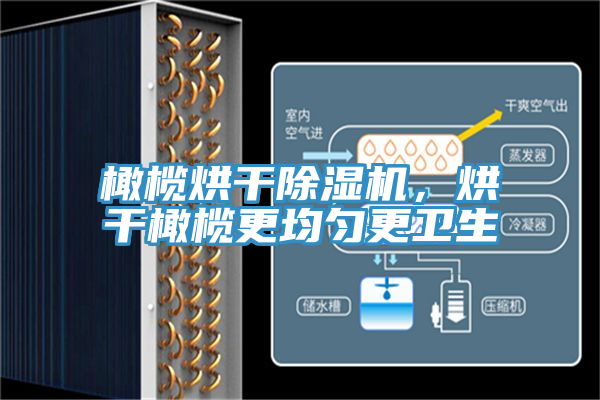 橄欖烘幹好色先生在线播放，烘幹橄欖更均勻更衛生