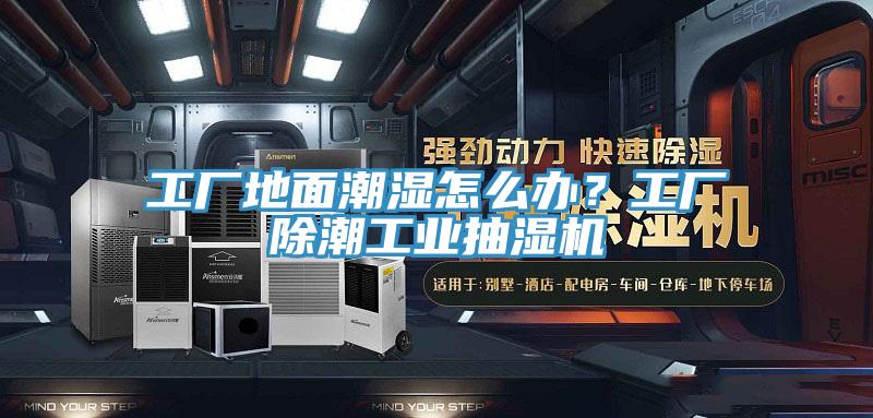 工廠地麵潮濕怎麽辦？工廠除潮工業抽濕機