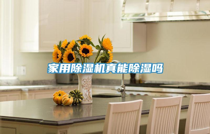 家用好色先生在线播放真能除濕嗎