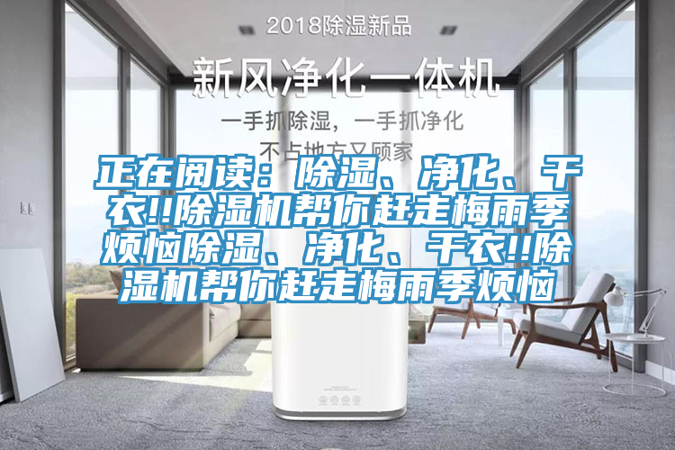 正在閱讀：除濕、淨化、幹衣!!好色先生在线播放幫你趕走梅雨季煩惱除濕、淨化、幹衣!!好色先生在线播放幫你趕走梅雨季煩惱