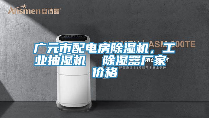 廣元市配電房好色先生在线播放,工業抽濕機 除濕器廠家 價格
