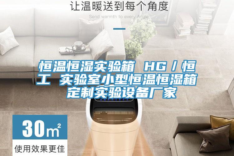 恒溫恒濕實驗箱 HG/恒工 實驗室小型恒溫恒濕箱 定製實驗設備廠家