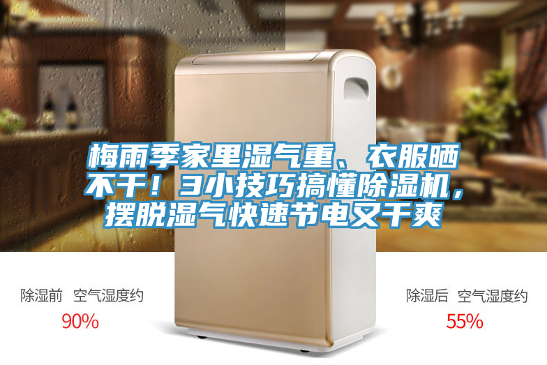 梅雨季家裏濕氣重、衣服曬不幹！3小技巧搞懂好色先生在线播放，擺脫濕氣快速節電又幹爽