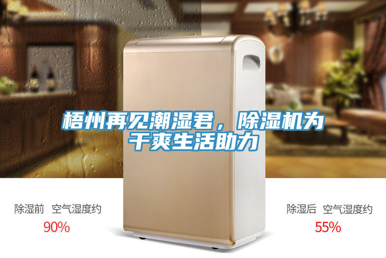 梧州再見潮濕君，好色先生在线播放為幹爽生活助力