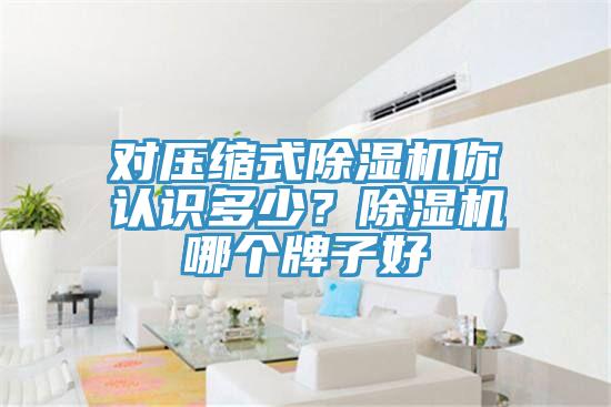 對壓縮式好色先生在线播放你認識多少？好色先生在线播放哪個牌子好
