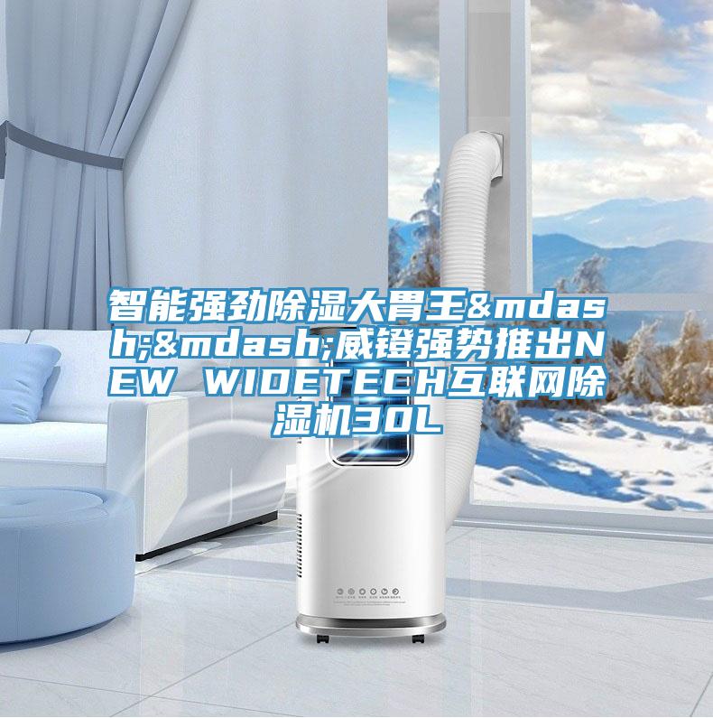 智能強勁除濕大胃王&mdash;&mdash;威鐙強勢推出NEW WIDETECH互聯網好色先生在线播放30L
