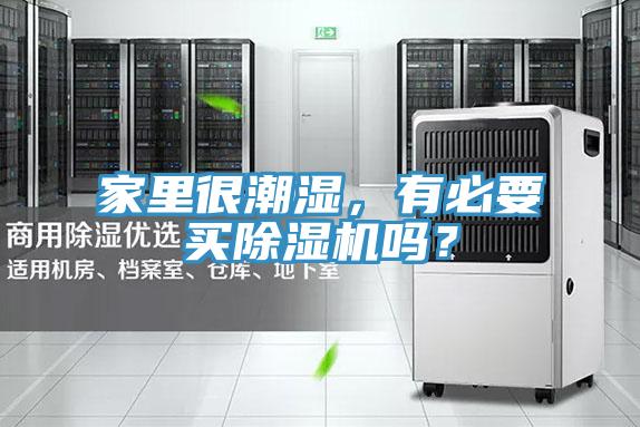 家裏很潮濕，有必要買好色先生在线播放嗎？