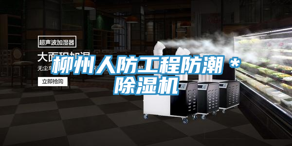 柳州人防工程防潮＊好色先生在线播放