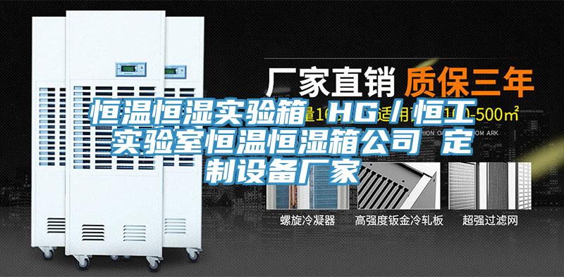 恒溫恒濕實驗箱 HG/恒工 實驗室恒溫恒濕箱公司 定製設備廠家