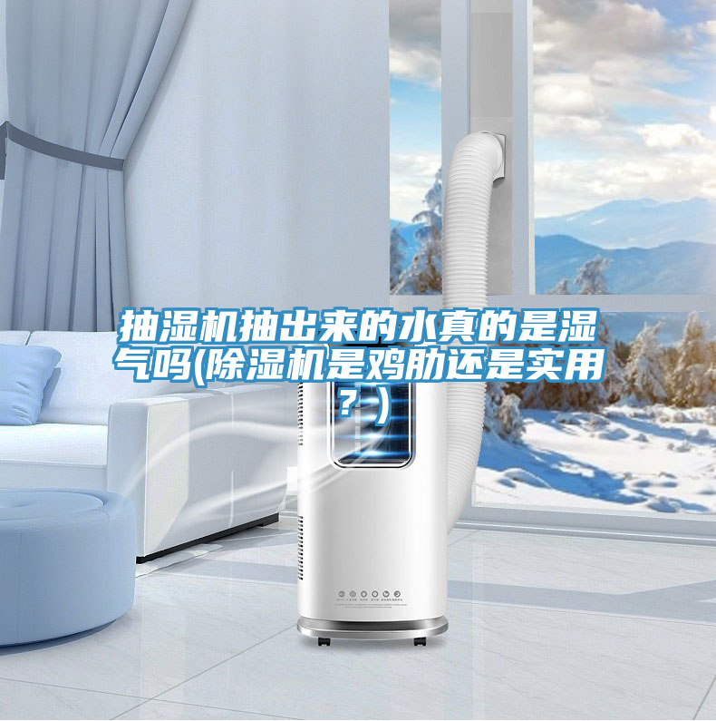 抽濕機抽出來的水真的是濕氣嗎(好色先生在线播放是雞肋還是實用?)