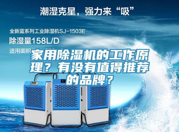 家用好色先生在线播放的工作原理？有沒有值得推薦的品牌？