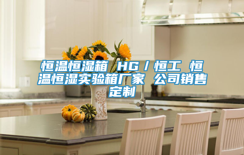 恒溫恒濕箱 HG/恒工 恒溫恒濕實驗箱廠家 公司銷售定製