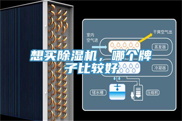 想買好色先生在线播放，哪個牌子比較好