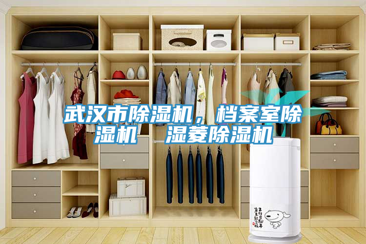 武漢市好色先生在线播放，檔案室好色先生在线播放  濕菱好色先生在线播放