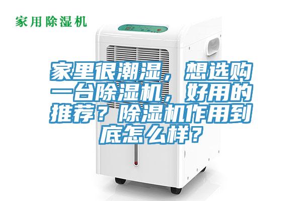 家裏很潮濕，想選購一台好色先生在线播放，好用的推薦？好色先生在线播放作用到底怎麽樣？