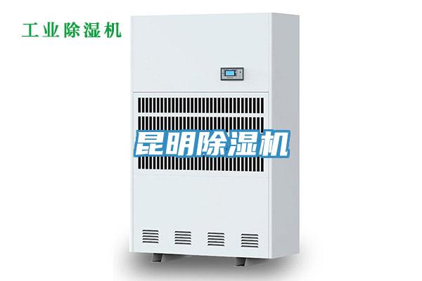 昆明好色先生在线播放