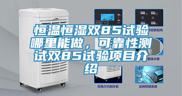 恒溫恒濕雙85試驗哪裏能做,可靠性測試雙85試驗項目介紹