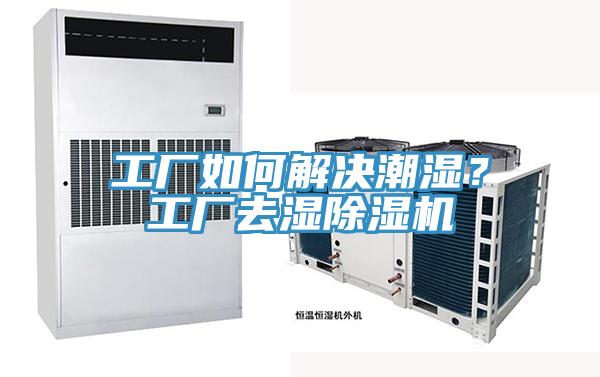 工廠如何解決潮濕？工廠去濕好色先生在线播放