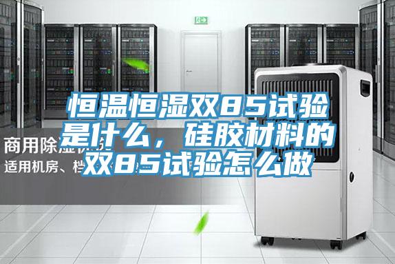 恒溫恒濕雙85試驗是什麽,矽膠材料的雙85試驗怎麽做