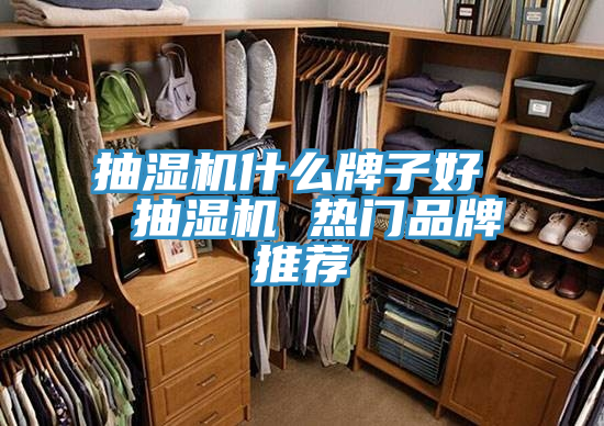 抽濕機什麽牌子好 抽濕機 熱門品牌推薦