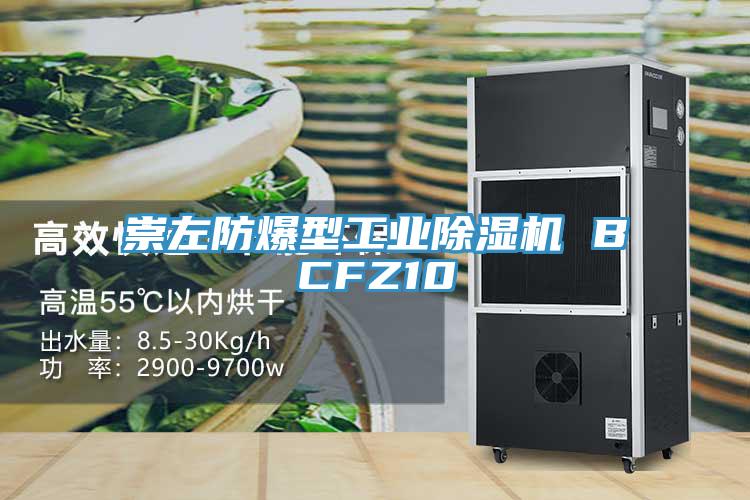 崇左防爆型工業好色先生在线播放 BCFZ10