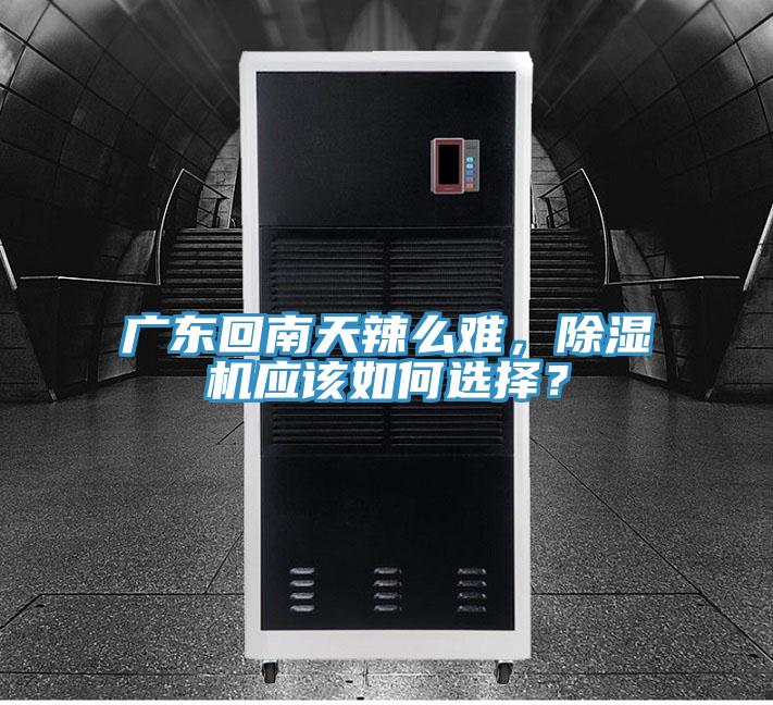 廣東回南天辣麽難，好色先生在线播放應該如何選擇？