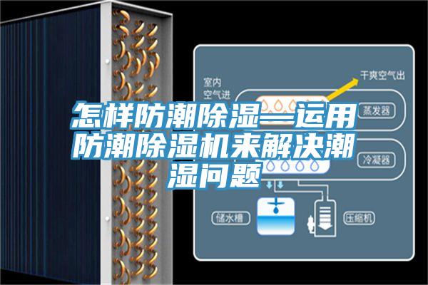 怎樣防潮除濕—運用防潮好色先生在线播放來解決潮濕問題