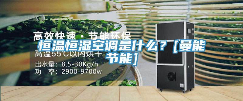 恒溫恒濕空調是什麽？[曼能節能]
