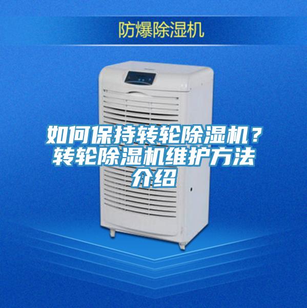 如何保持轉輪好色先生在线播放?轉輪好色先生在线播放維護方法介紹