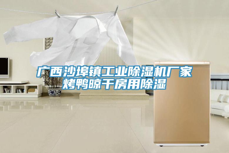 廣西沙埠鎮工業好色先生在线播放廠家烤鴨晾幹房用除濕