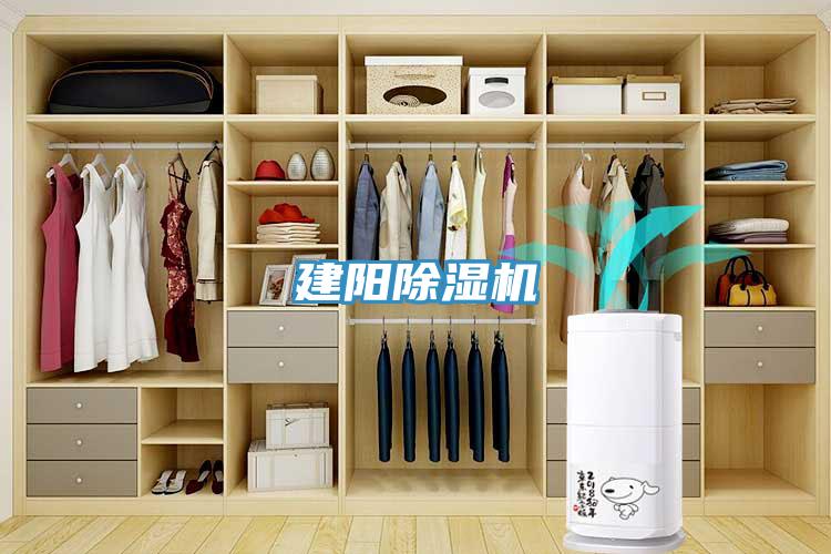 建陽好色先生在线播放